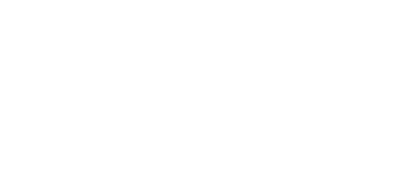 Wadadli Excursions Logo White AI